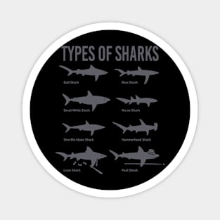 Types of Sharks Magnet